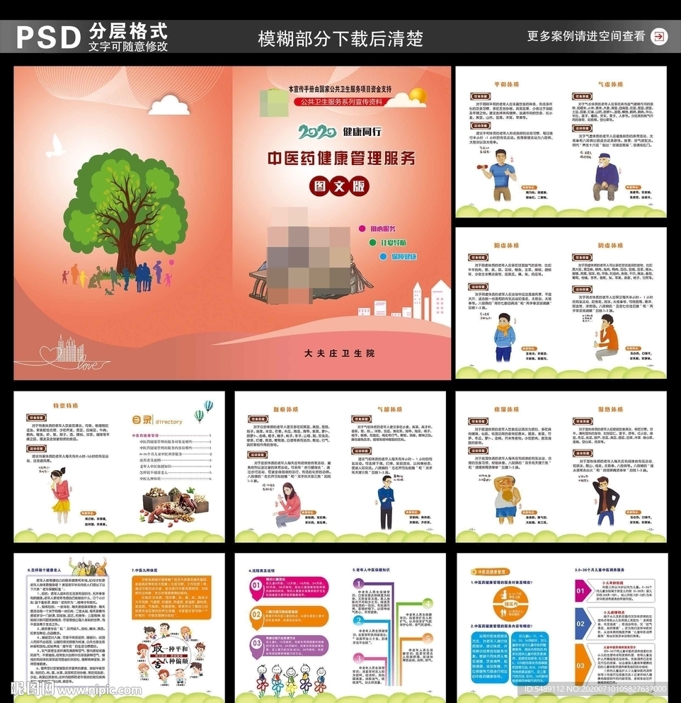 中医药健康管理服务