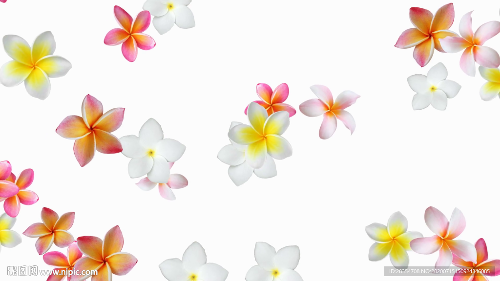 小碎花 3d 淡雅 简约 清新