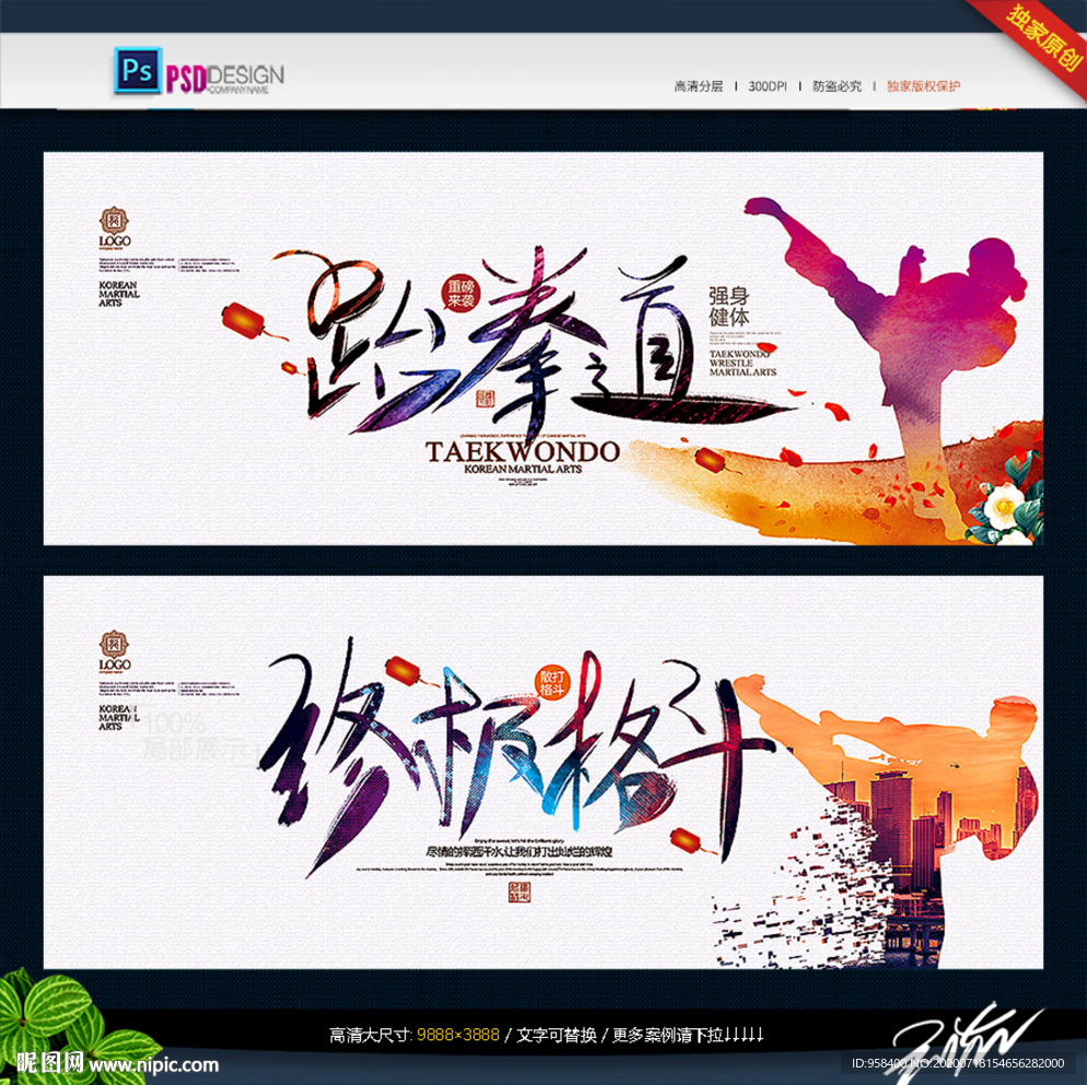 跆拳道 终极格斗