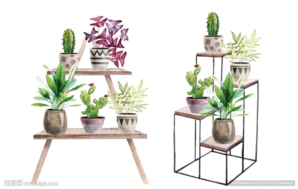 手绘水彩室内植物