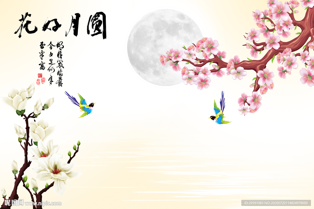 花好月圆玉兰梅花图片