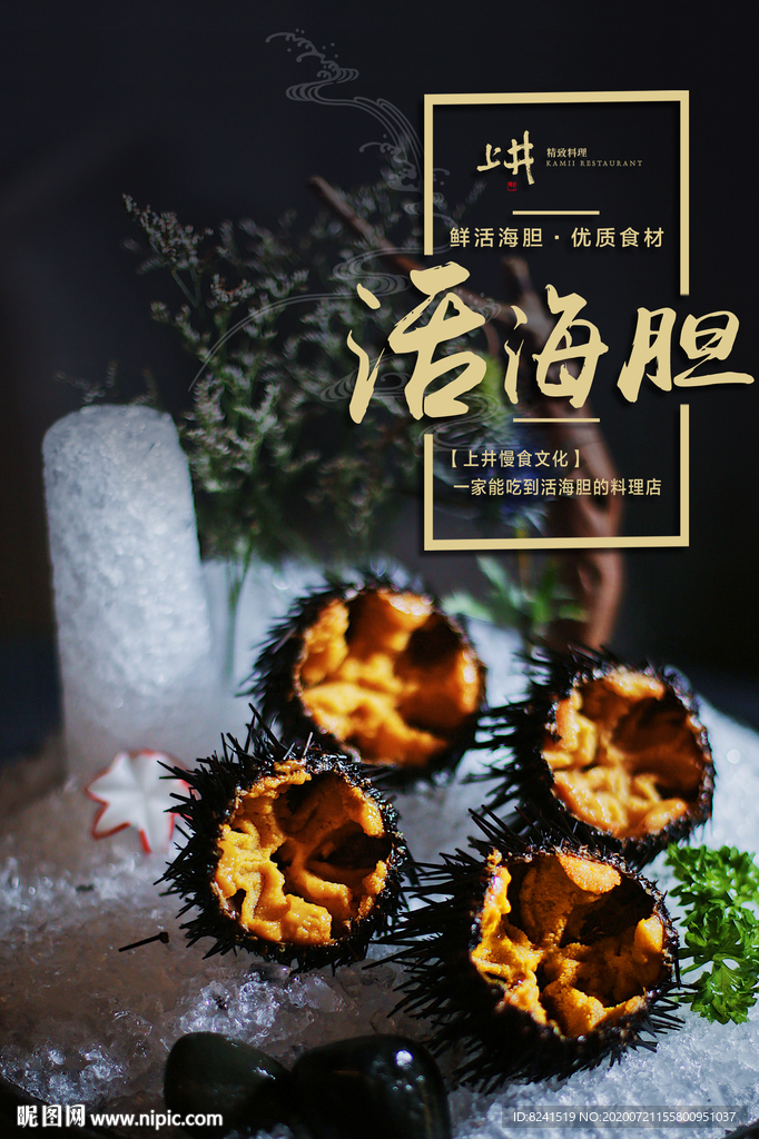 海胆海报 海胆包装 海胆广告