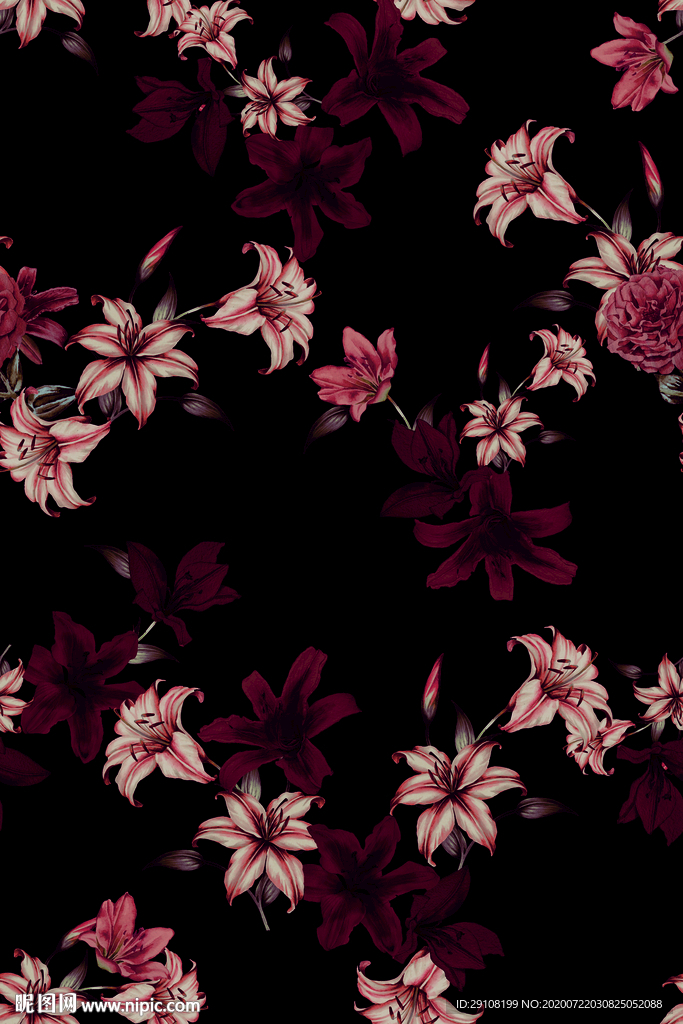 大牌花型 热带花 花卉