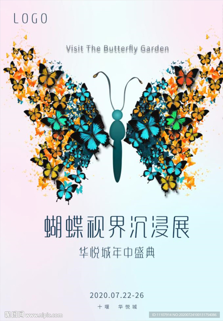 蝴蝶 展出 飞舞