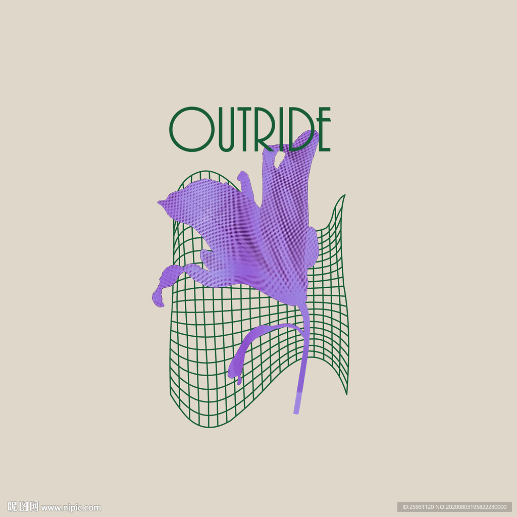 扭曲空间线面花卉时尚英文组合搭