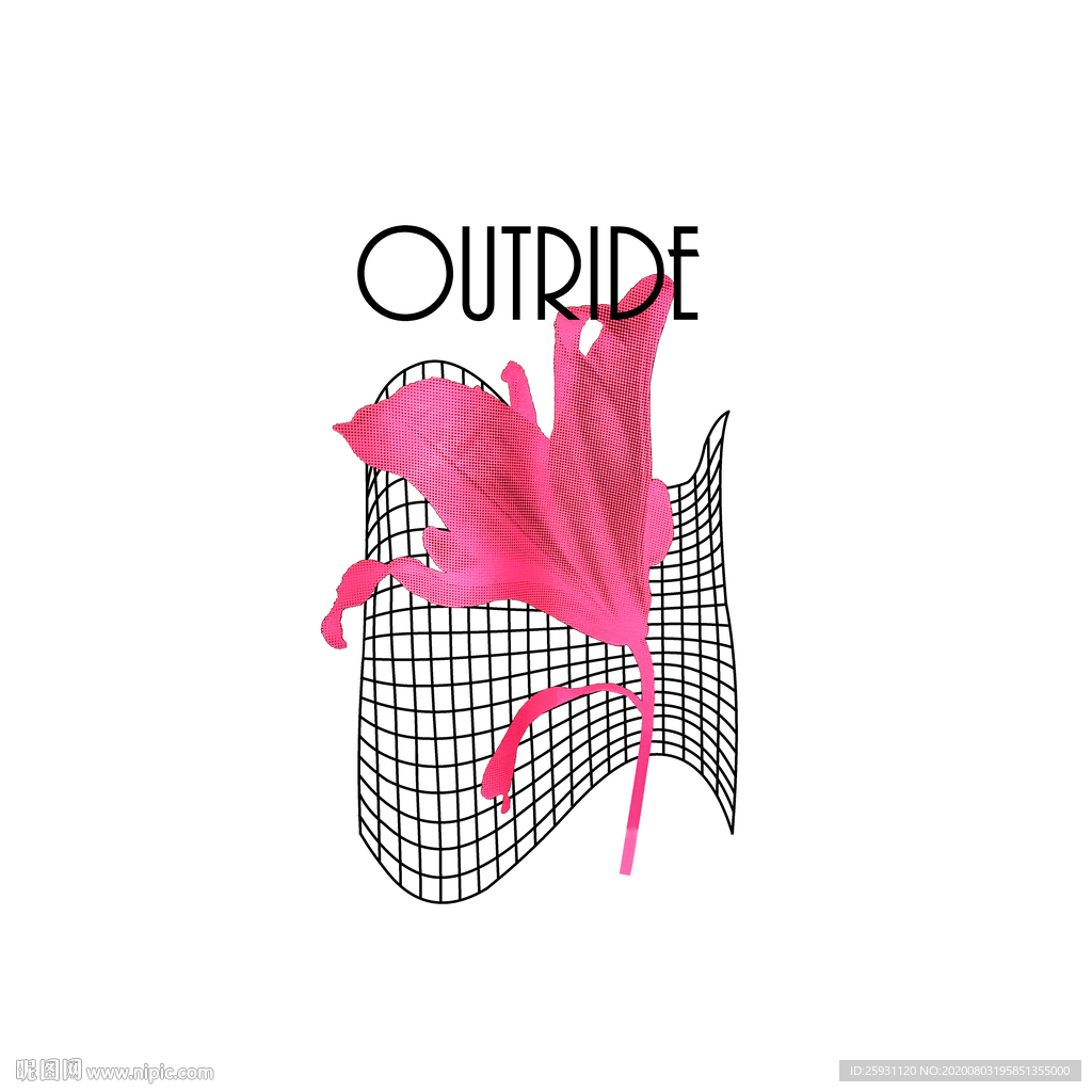 扭曲空间线面花卉时尚英文组合搭