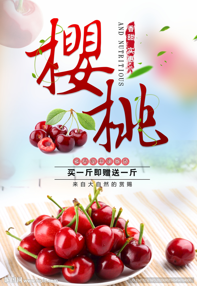 樱桃采摘 新鲜樱桃