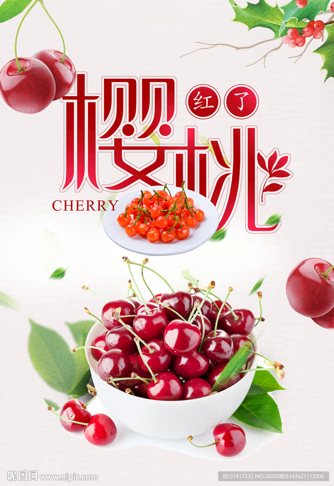 樱桃采摘 新鲜樱桃