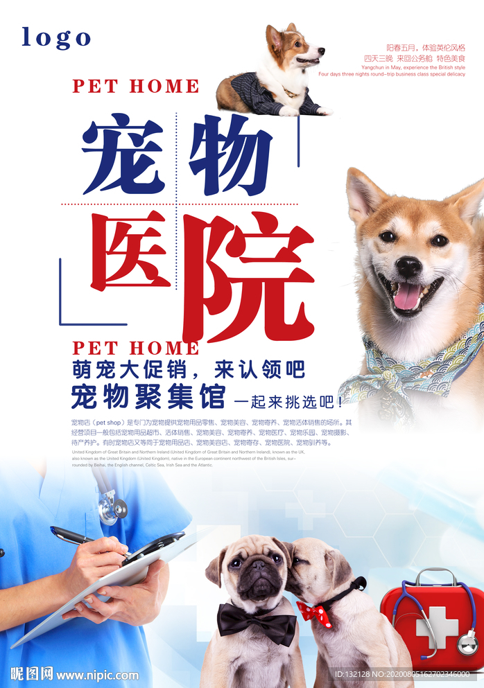 宠物医院海报 宠物美容海报