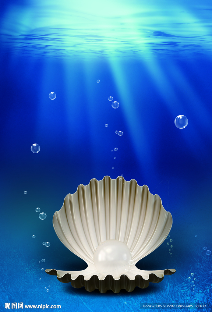 海洋珍珠贝壳