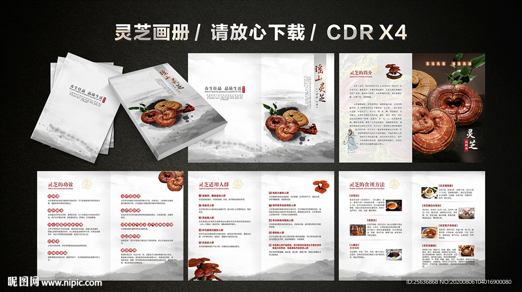 灵芝画册 中医养生中国风画册