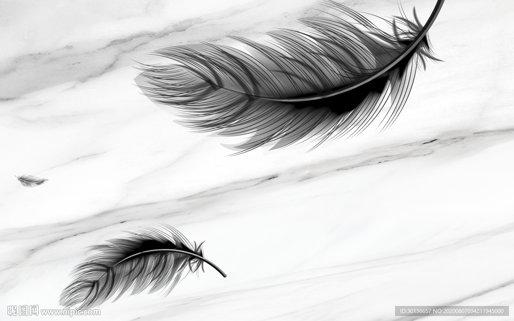 高清 意境唯美羽毛 TIF分层