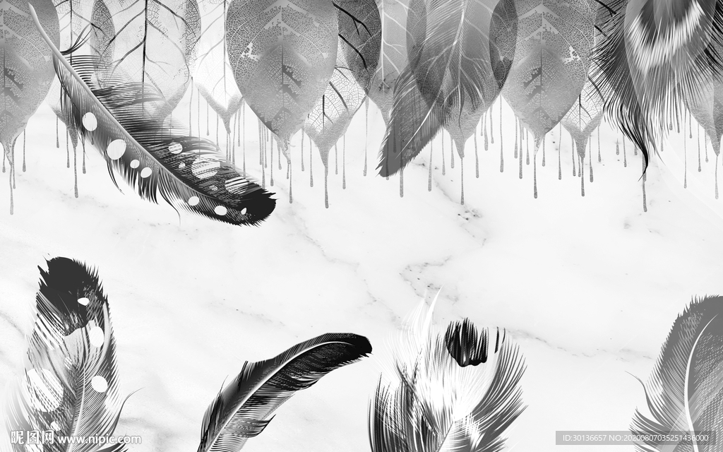 高清 羽毛唯美背景 TIF分层