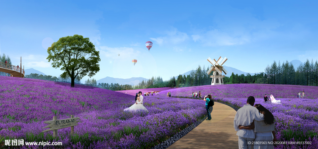 景观效果图花田效果图花海效果图