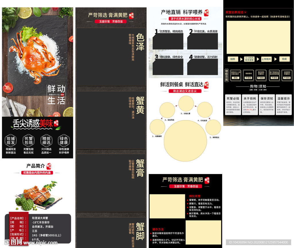 大闸蟹鲜活螃蟹海鲜
