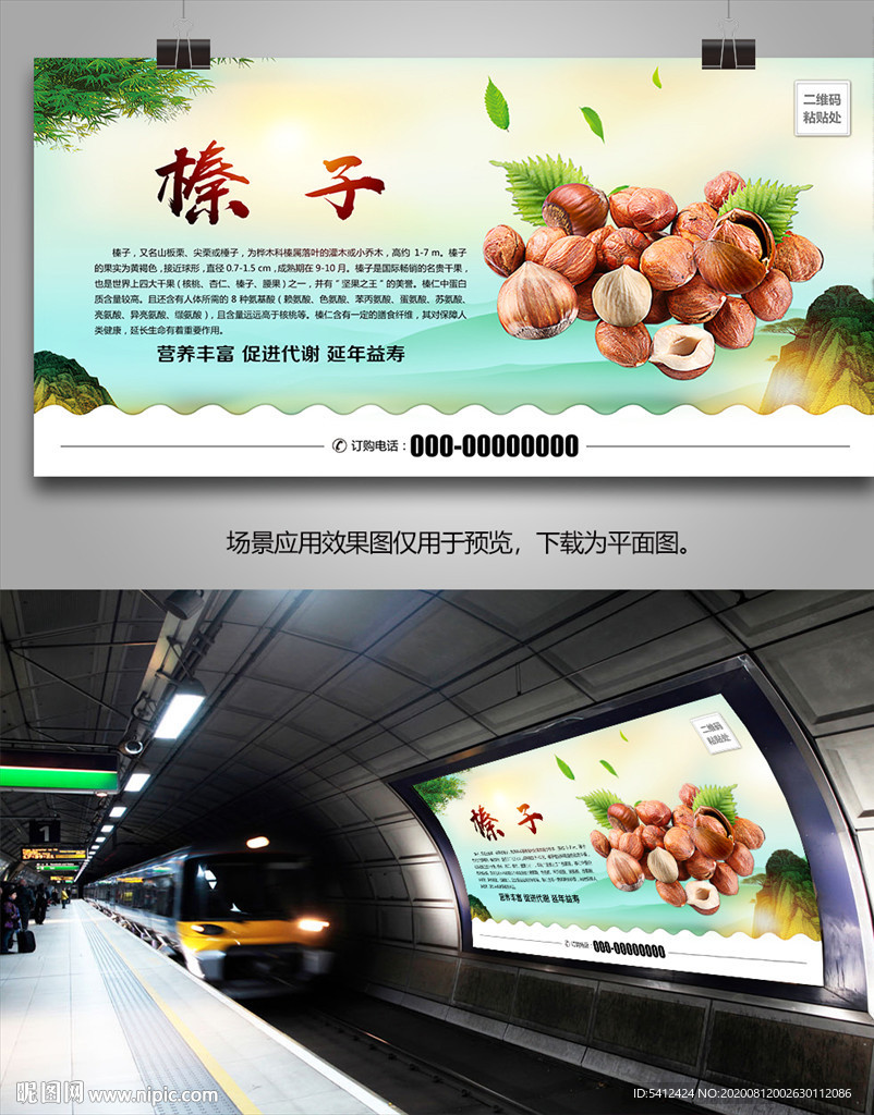 东北野生榛子海报灯箱展板展架