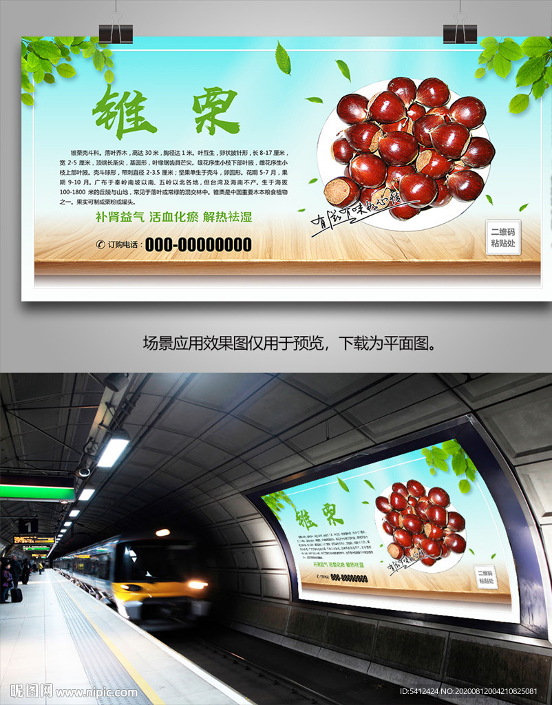 福建锥栗海报灯箱展板展架挂画