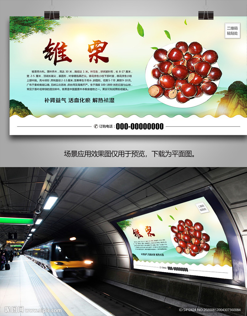 野生锥栗海报灯箱展板展架挂画