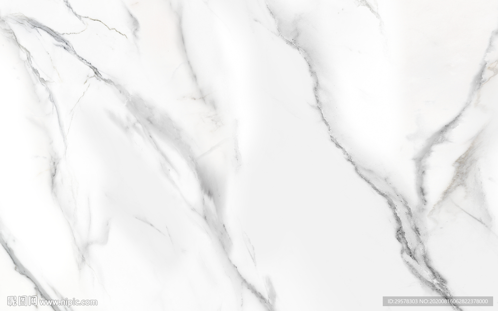 最新高档新鱼肚白 TIF合层