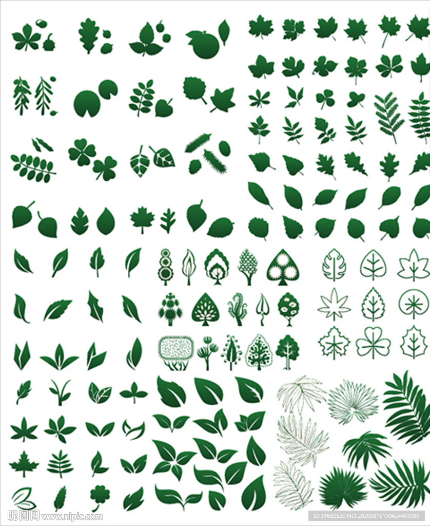各种树叶矢量剪影合集