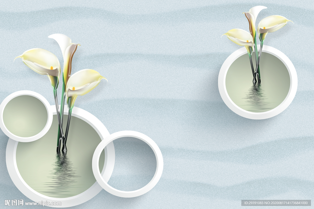 白色马蹄莲背景墙图片素材