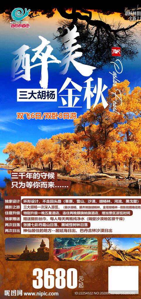 额济纳 额济纳旗旅游 漫步胡杨