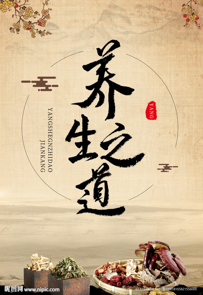 传统中医  养生之道