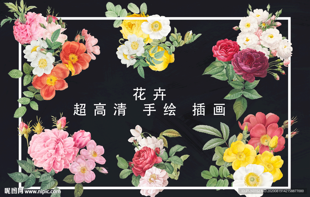 超高清分层手绘真实牡丹七彩玫瑰