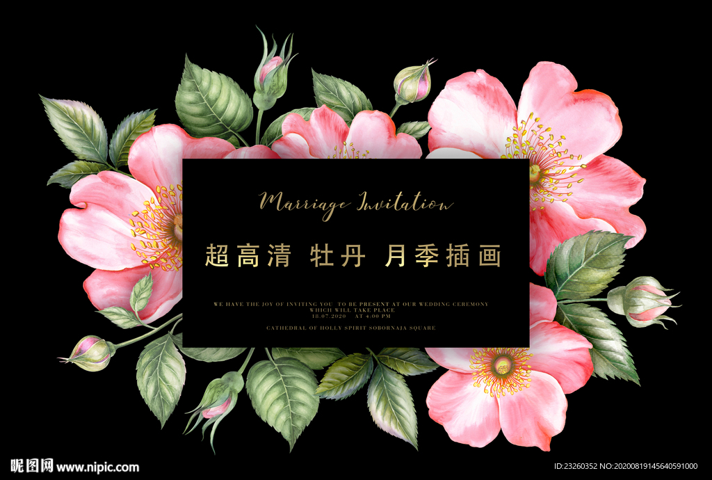 超高清分层手绘真实樱花玫瑰