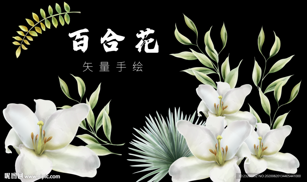 百合花矢量高清手绘艺术插画