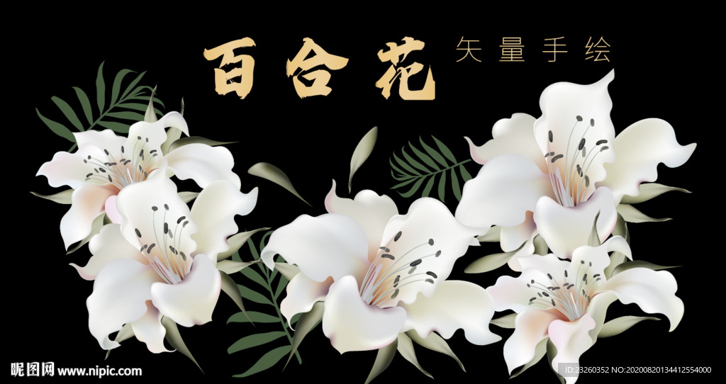 百合花矢量高清手绘艺术插画