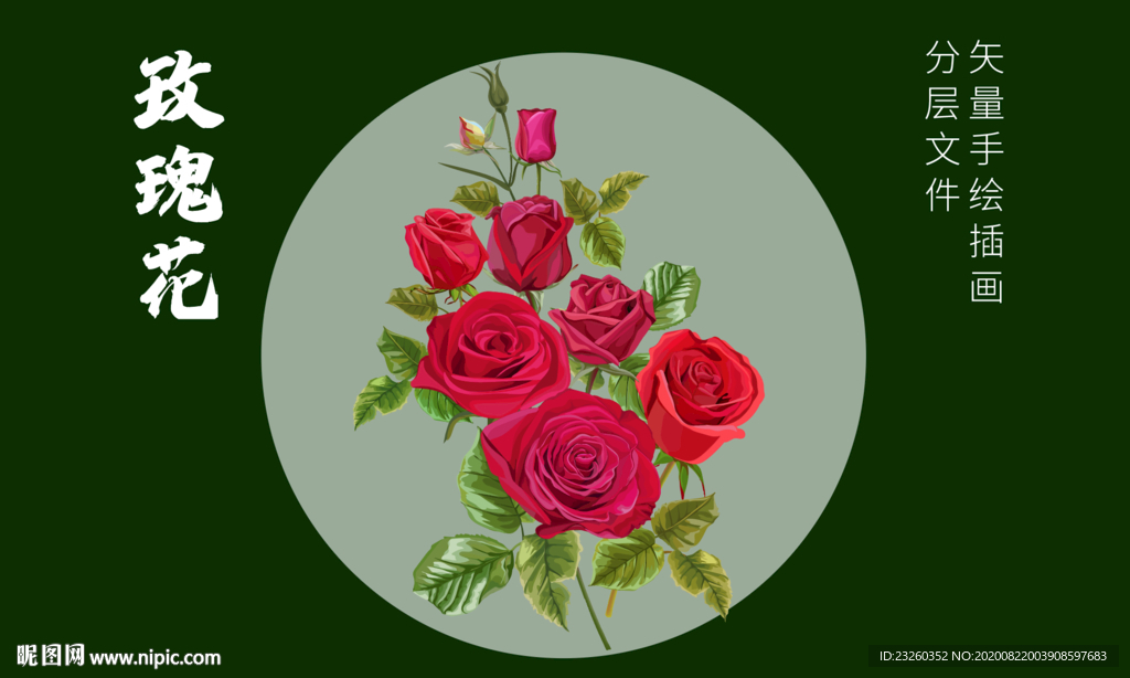 矢量玫瑰花月季花插画手绘