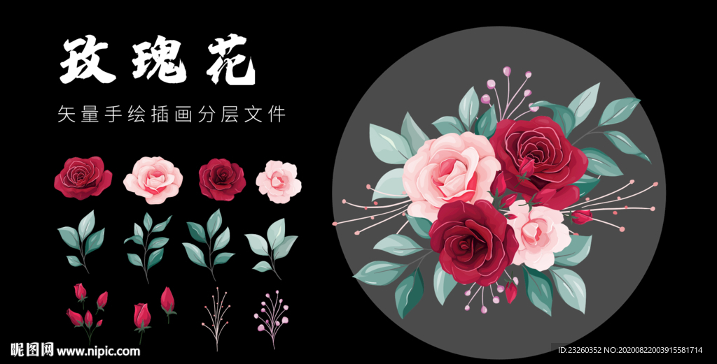 矢量玫瑰花月季花手绘精品插画