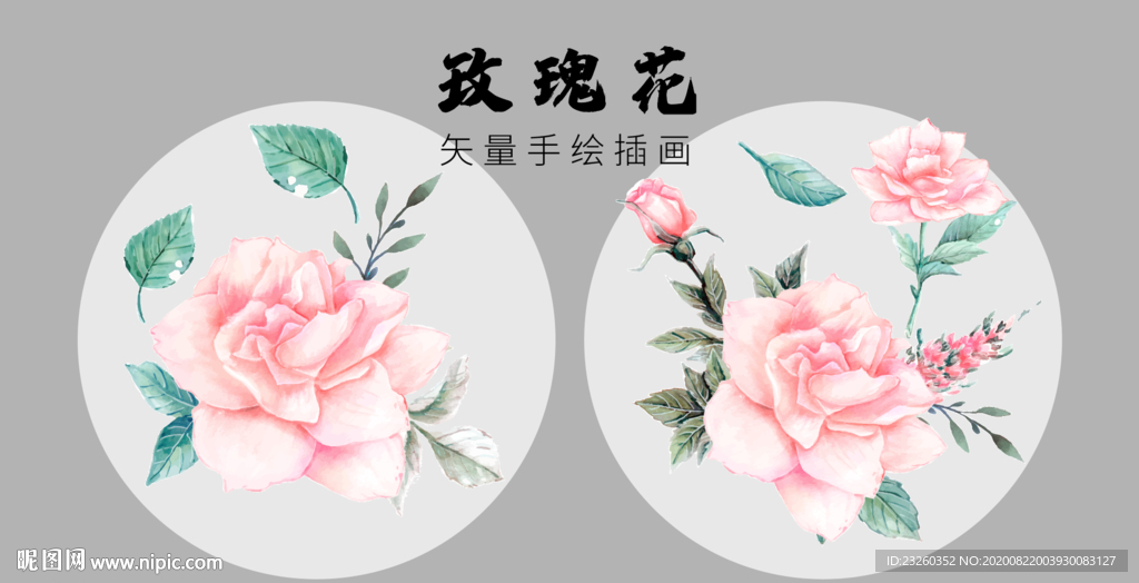 矢量玫瑰花月季花手绘精品插画