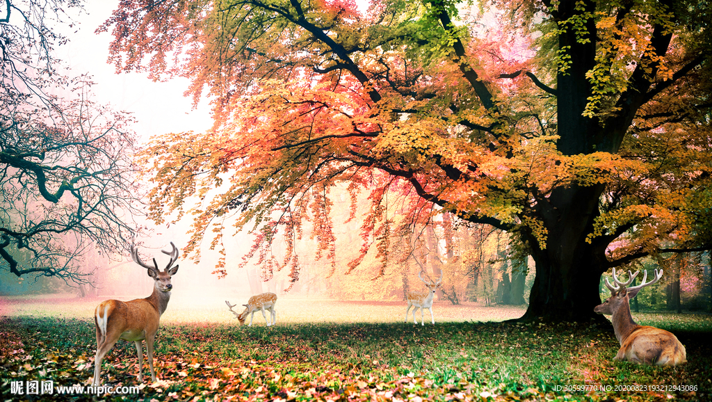 树林风景电视背景装饰画