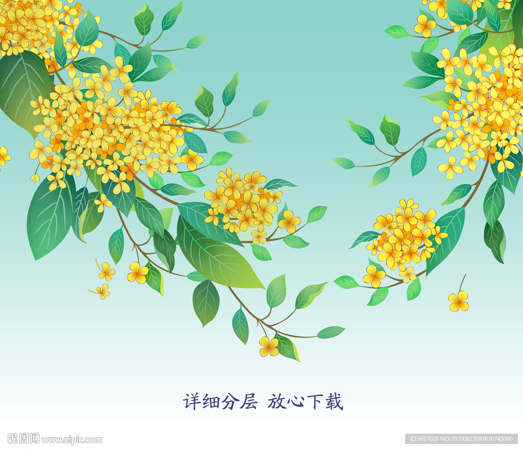 手绘桂花