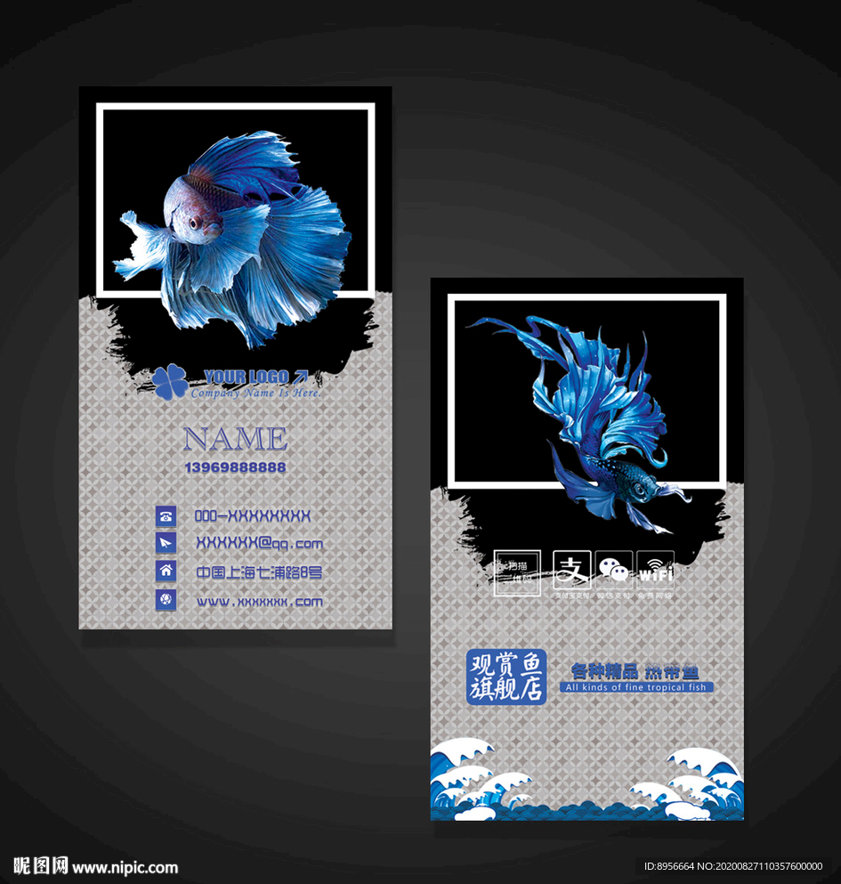 观赏鱼名片