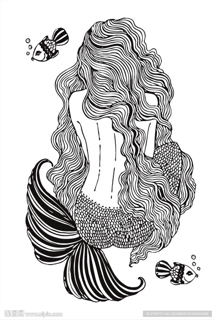 美人鱼线条艺术