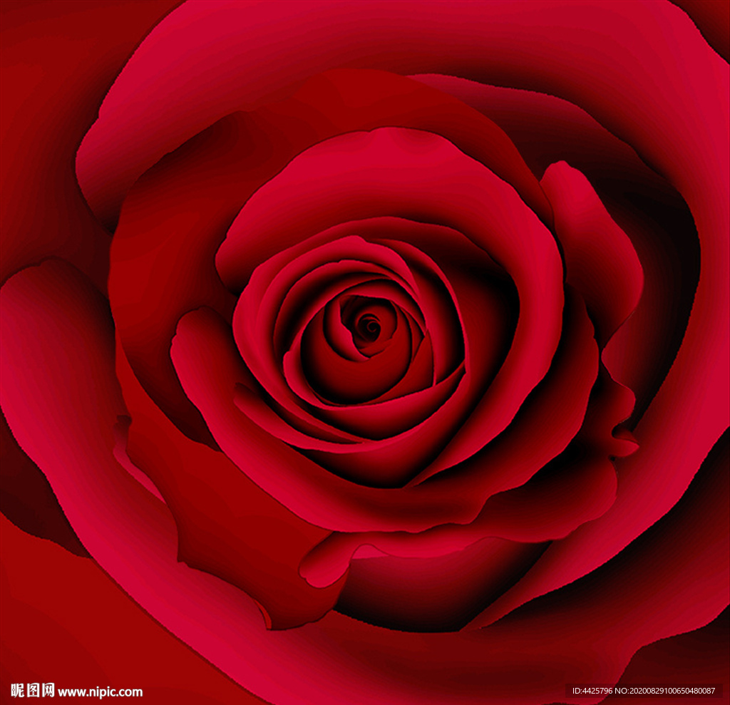 玫瑰高清手绘花卉印花