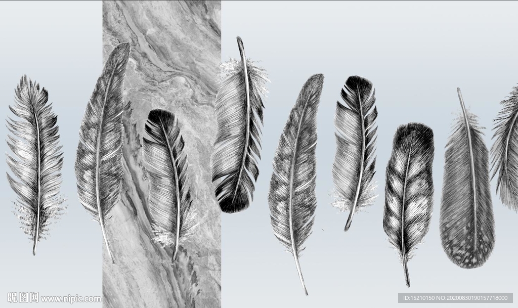 羽毛电视背景墙