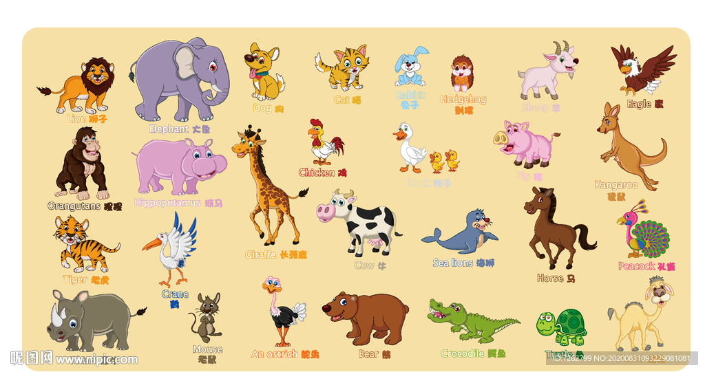 卡通动物英文认知
