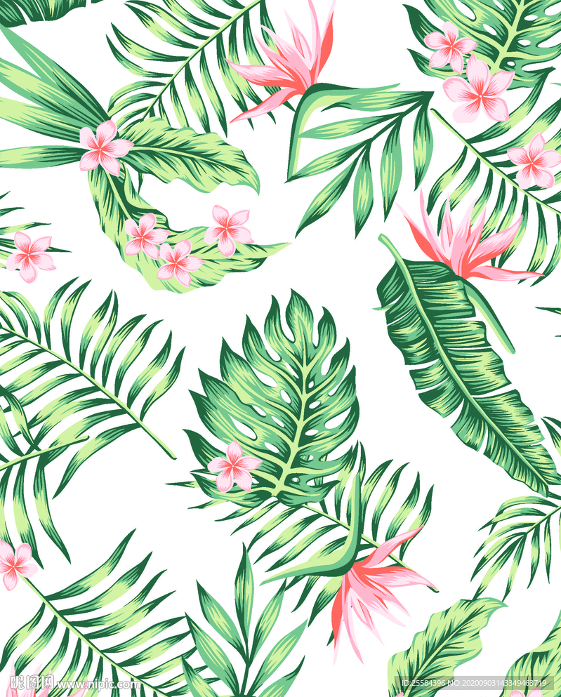 热带植物 热带花卉 矢量花卉