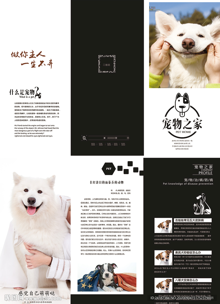 宠物三折页