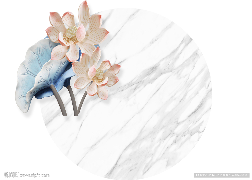 爱莲说 荷花韵 爵士白