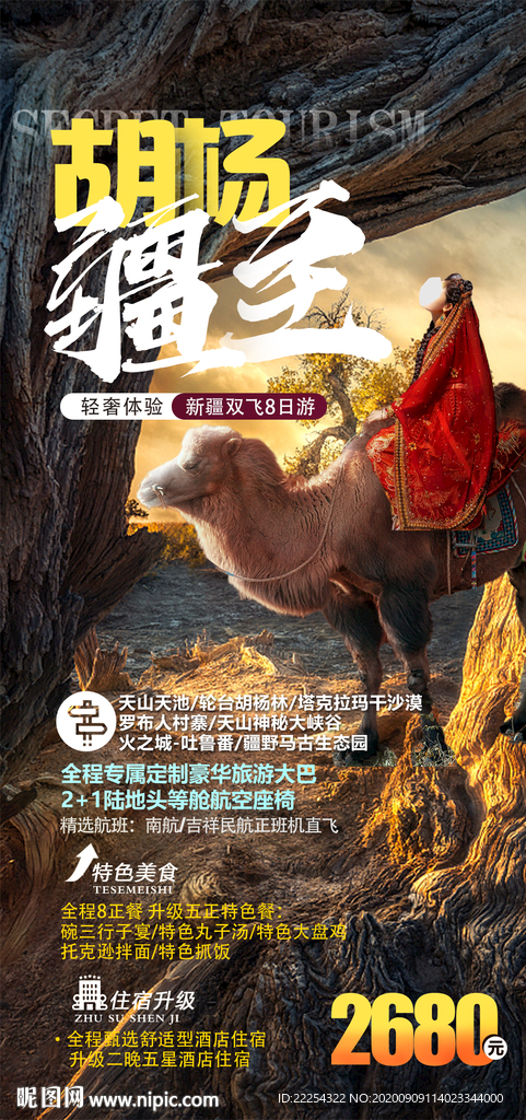 胡杨林 七彩丹霞 怪树林 黑水