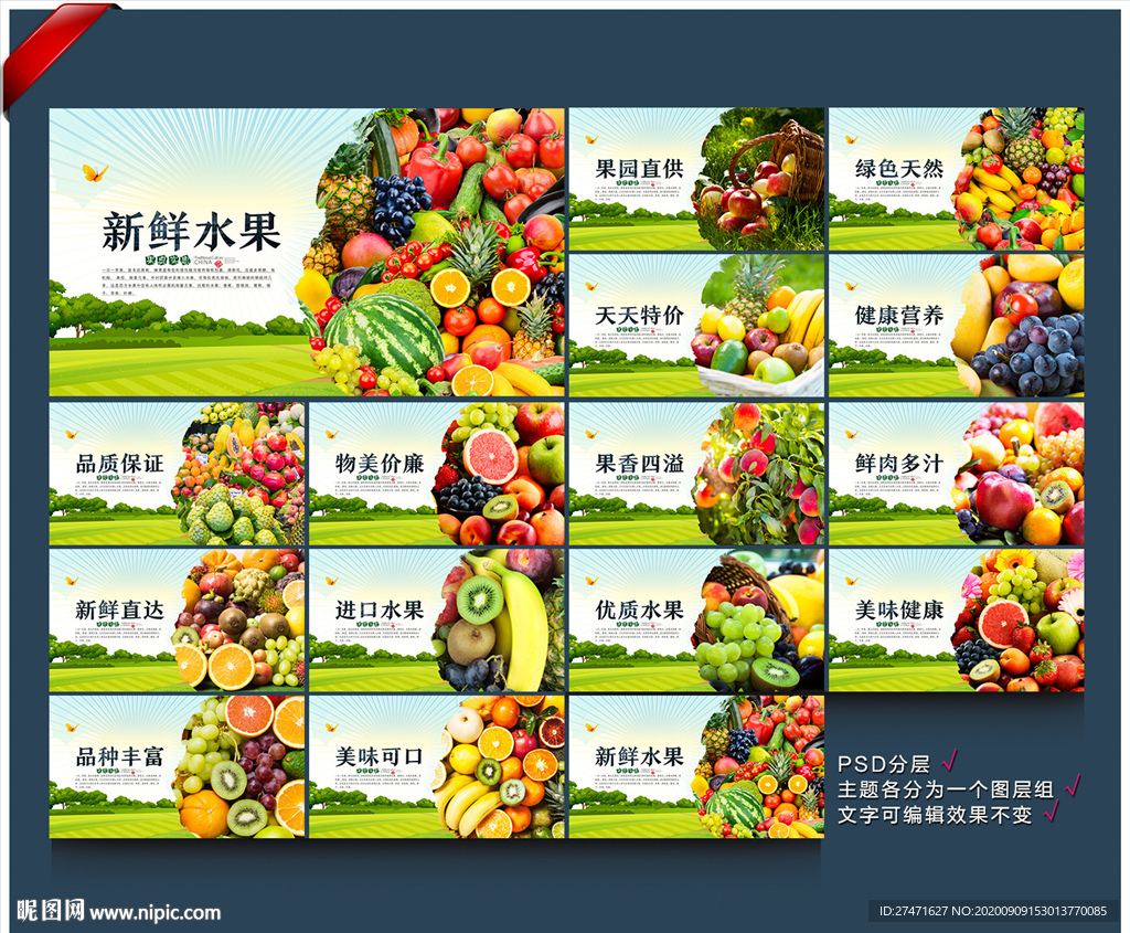 水果简介 水果介绍 水果展板