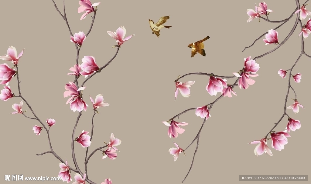 玉兰花开 玉兰花 花鸟 工笔画