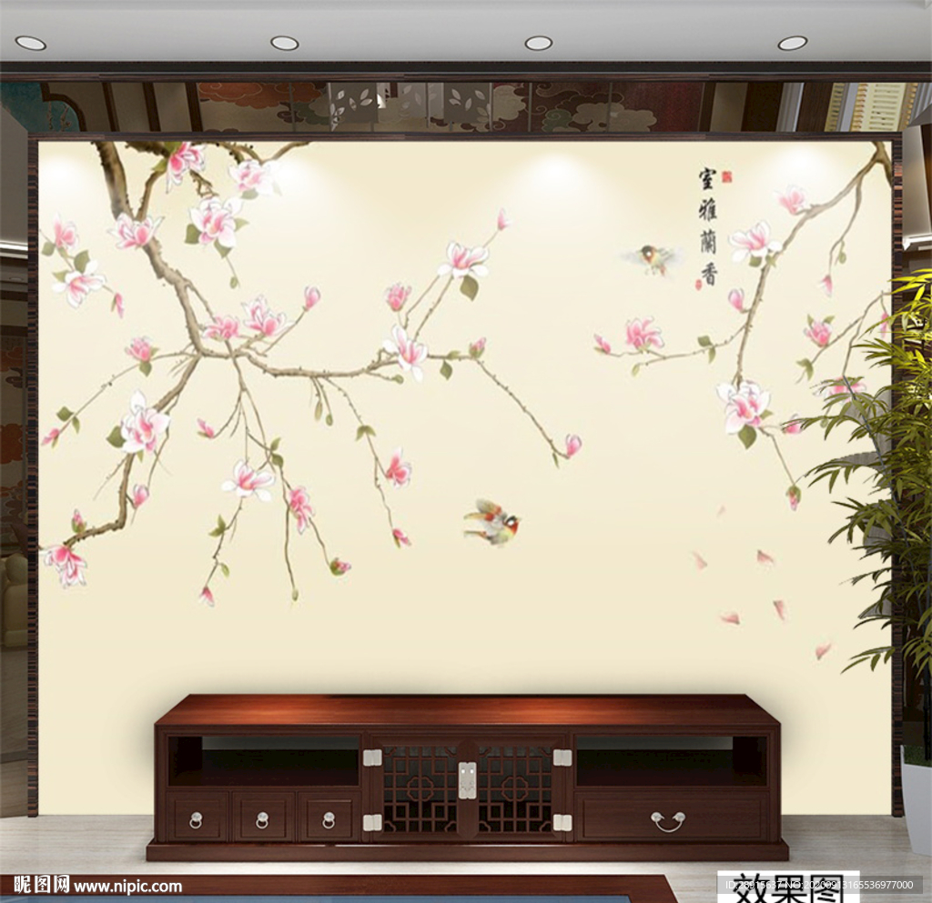 玉兰花开 玉兰花 雅舍兰香