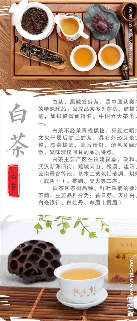 白茶 茶文化