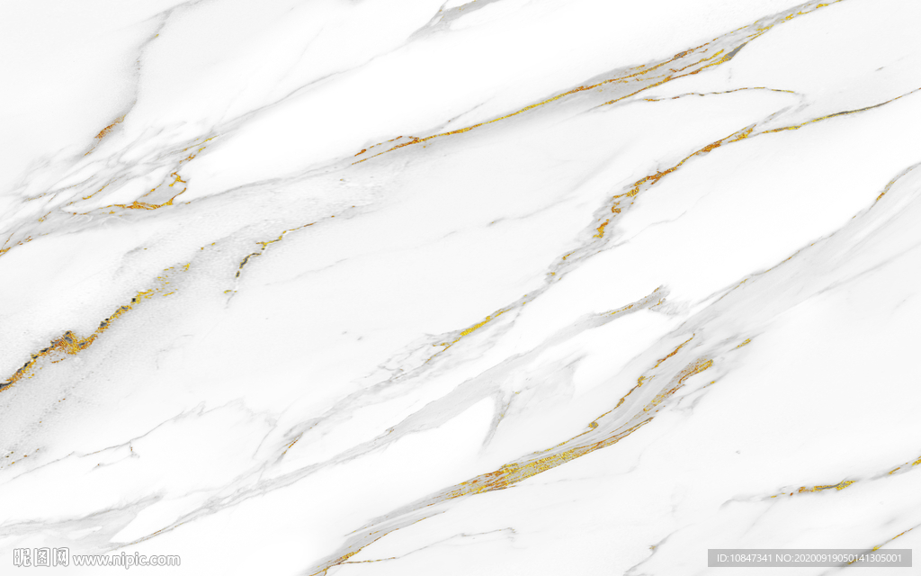 新 中式新鱼肚白 TIF合层